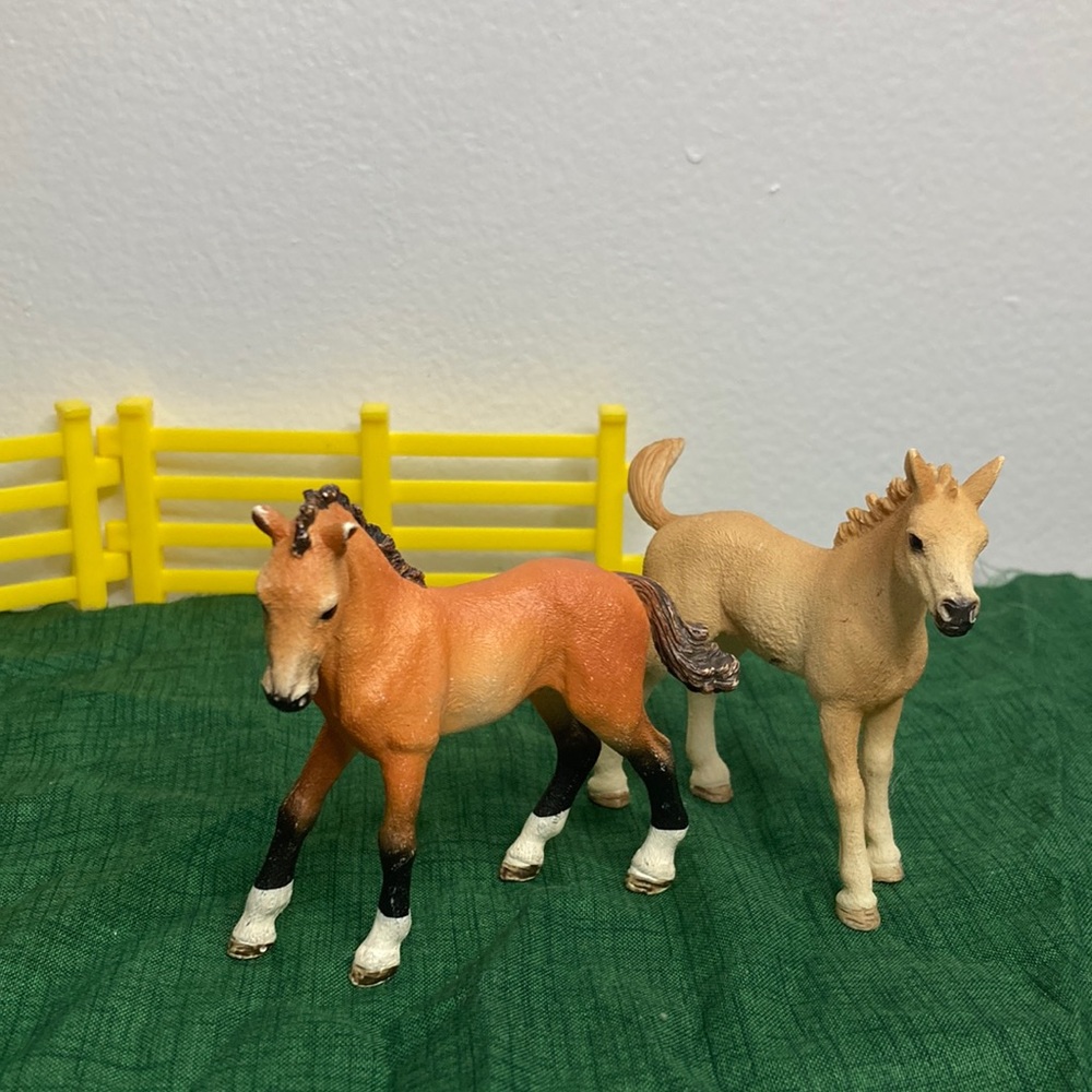 2 Foals